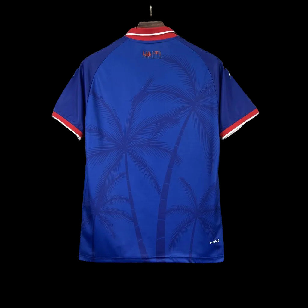 Haïti domicile CDM 26/27