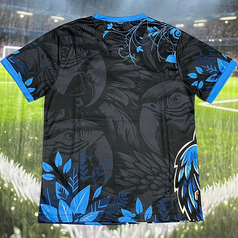 Brésil spécial 26/27