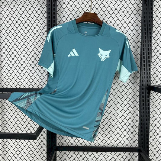 Cruzeiro spécial 24/25