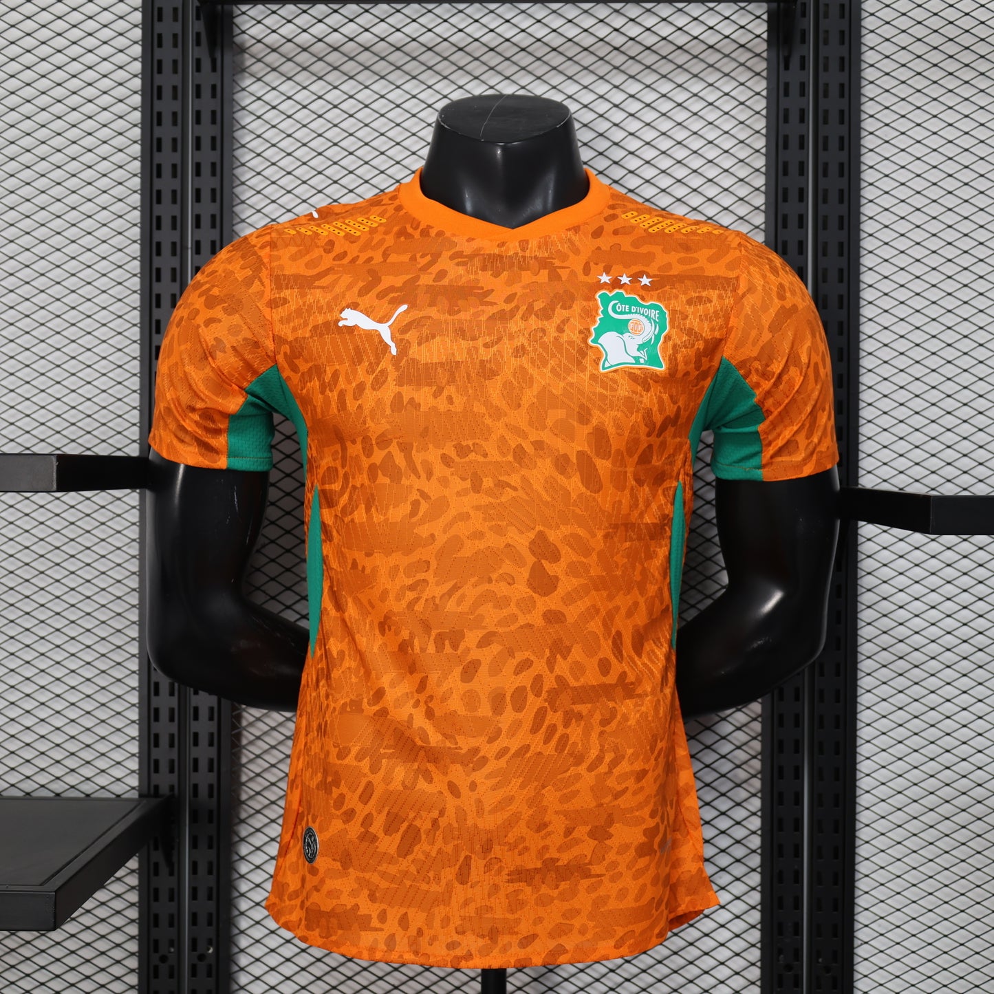 Côte d’Ivoire domicile 26/27