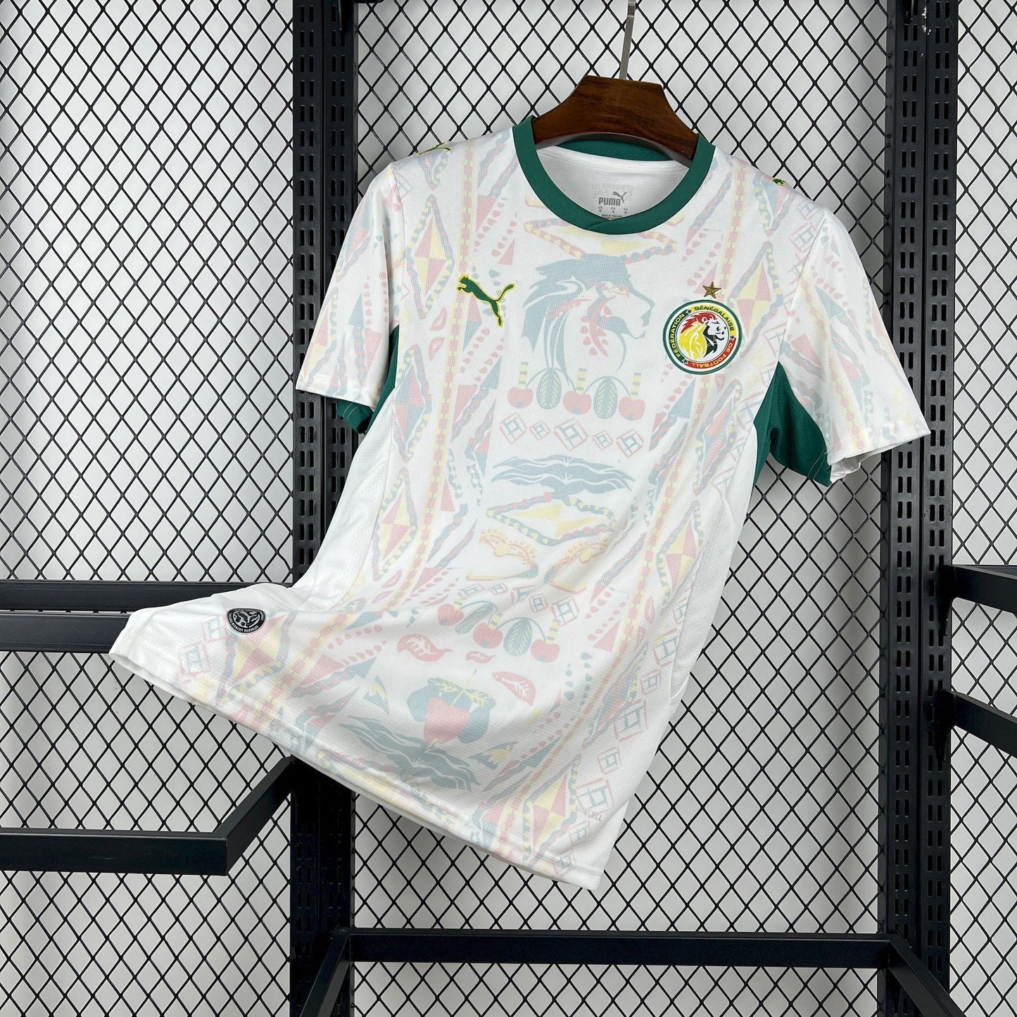 Sénégal domicile 26/27