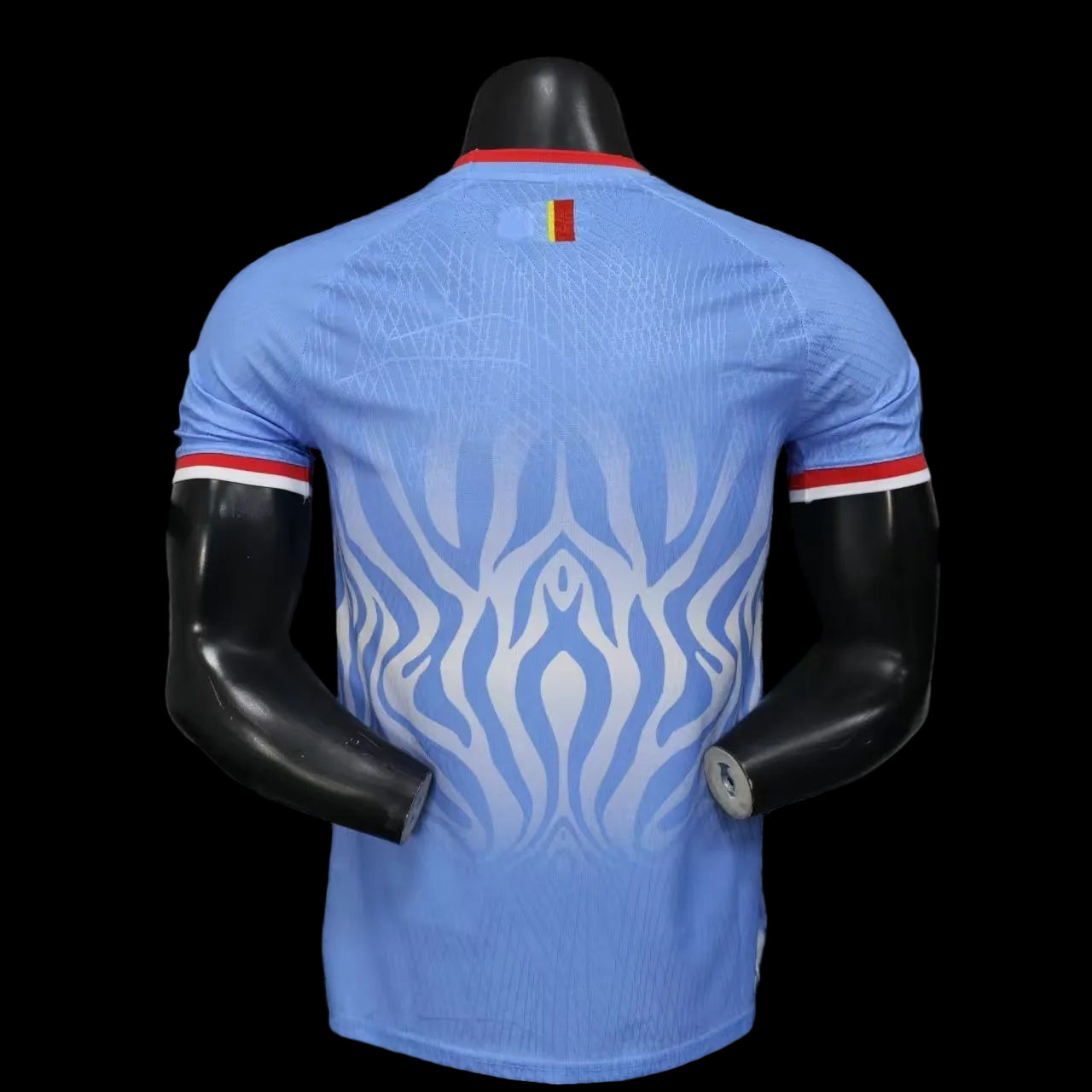 Congo RDC domicile 25/26