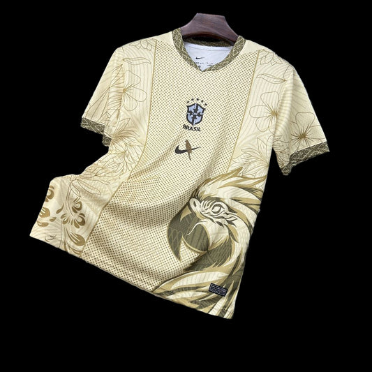 Brésil spécial 25/26