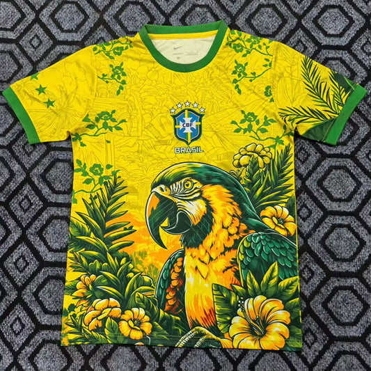 Brésil spécial 26/27